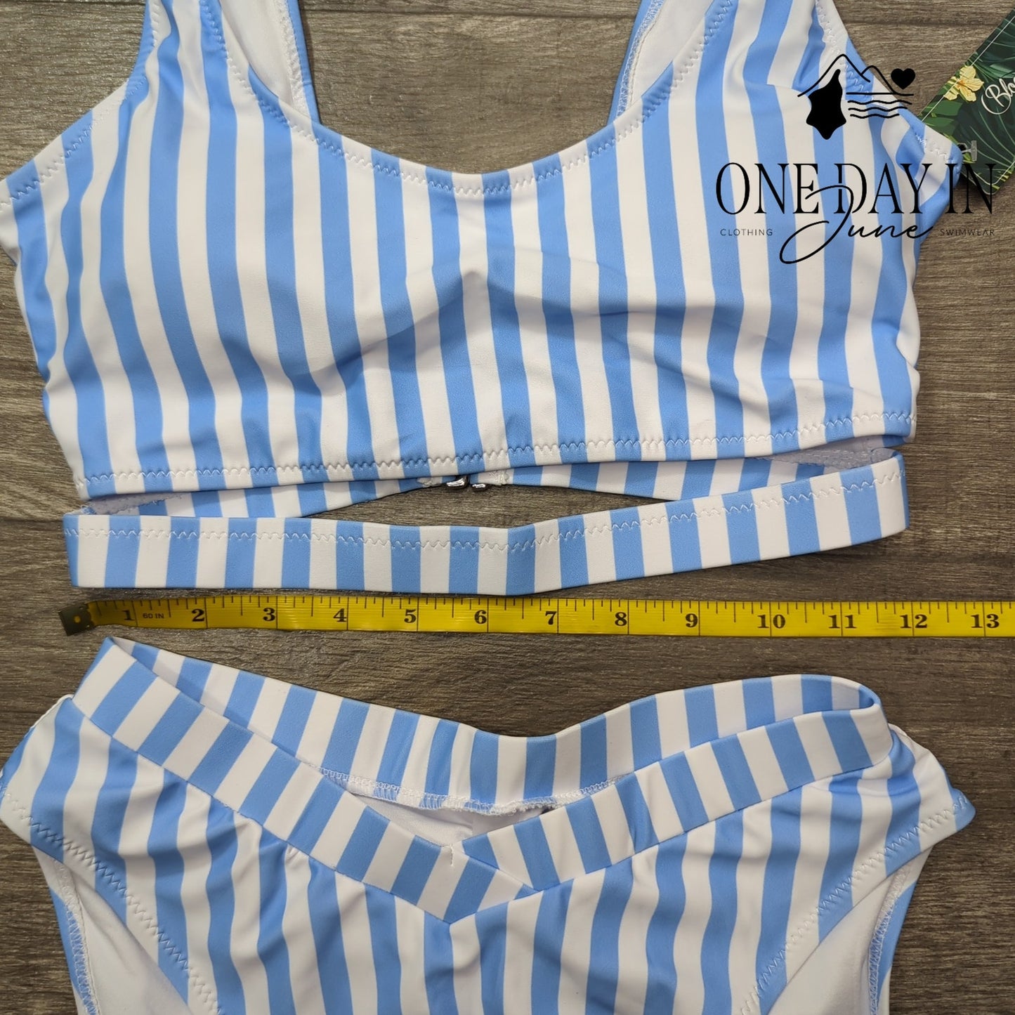 Blooming Jelly Striped Crop Cinched Bottom Bikini Swimsuit Size S