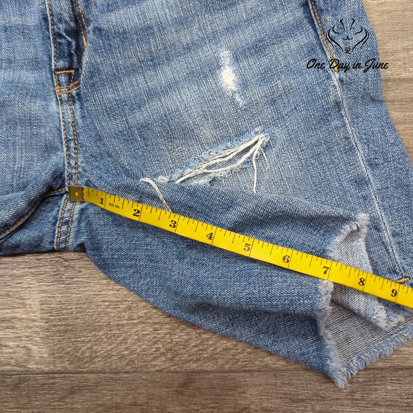 American Eagle Outfitters Cut Off Denim Shorts Size 0