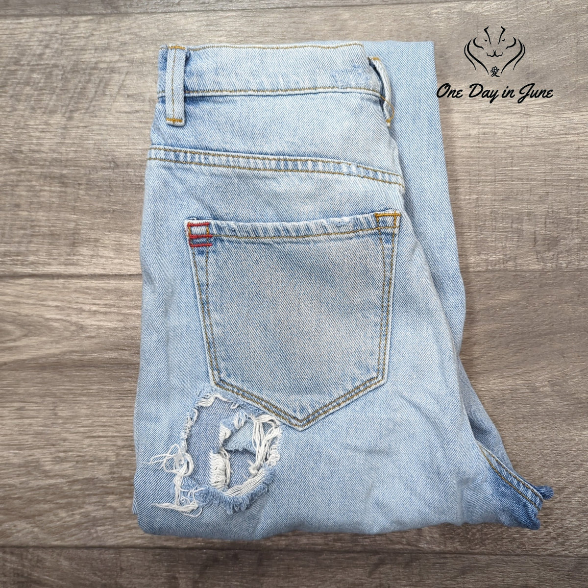 BDG Urban Outfitters Distressed Ripped Jeans Light Wash NWT Size 26 (2)