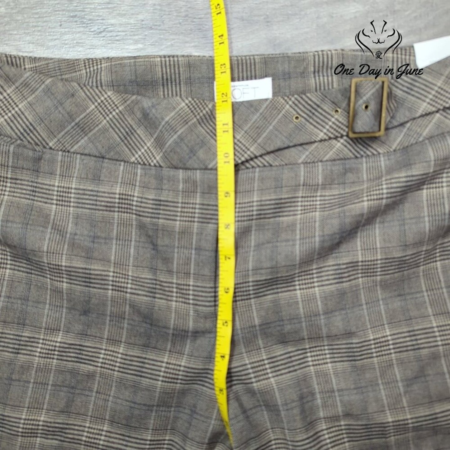 Loft Marissa Cropped Pants Size 16