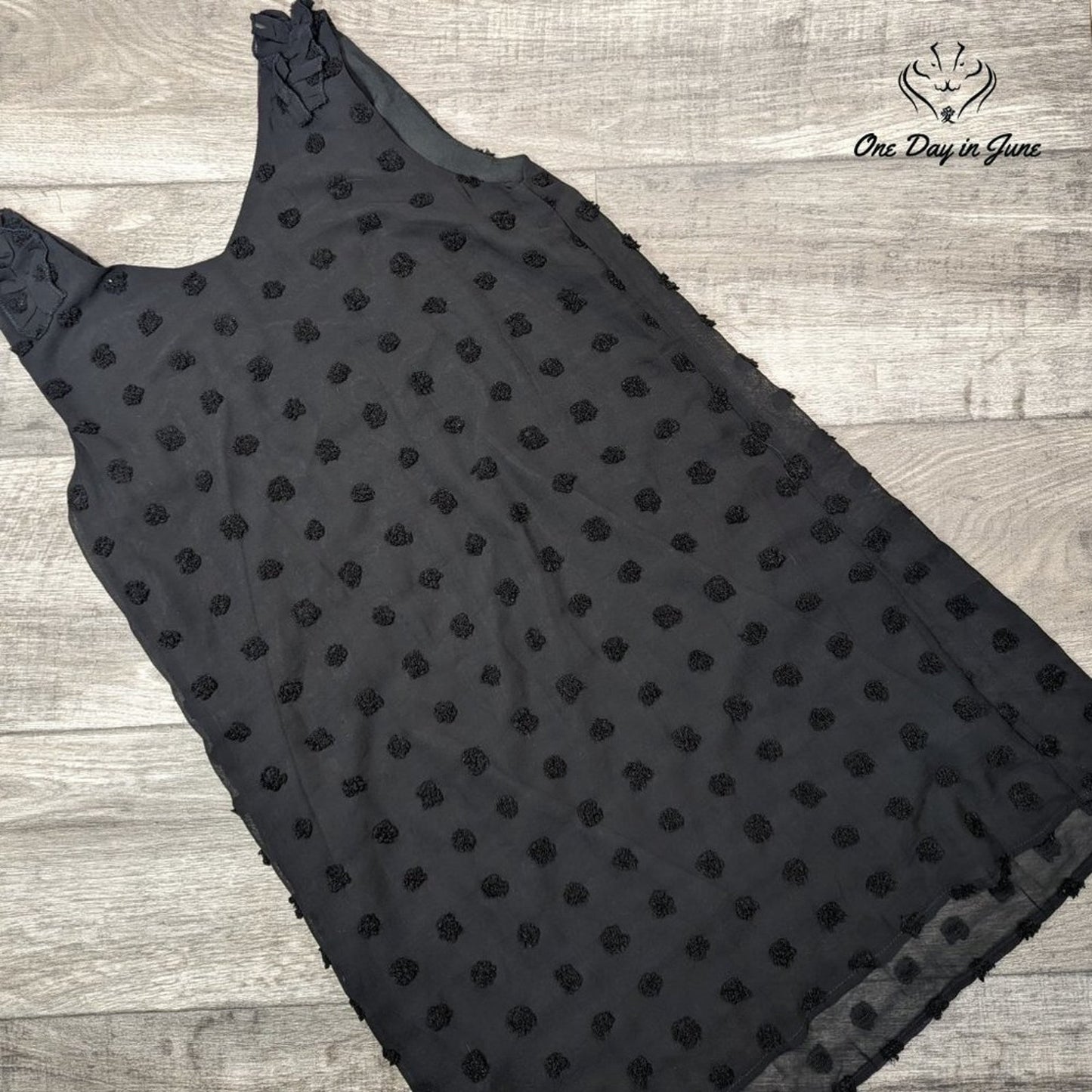 Hotouch Sleevless Sheer Lined Mini Dress Size S