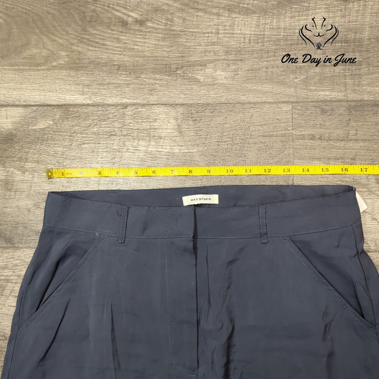 Max Studio Maxi Skirt Size 16