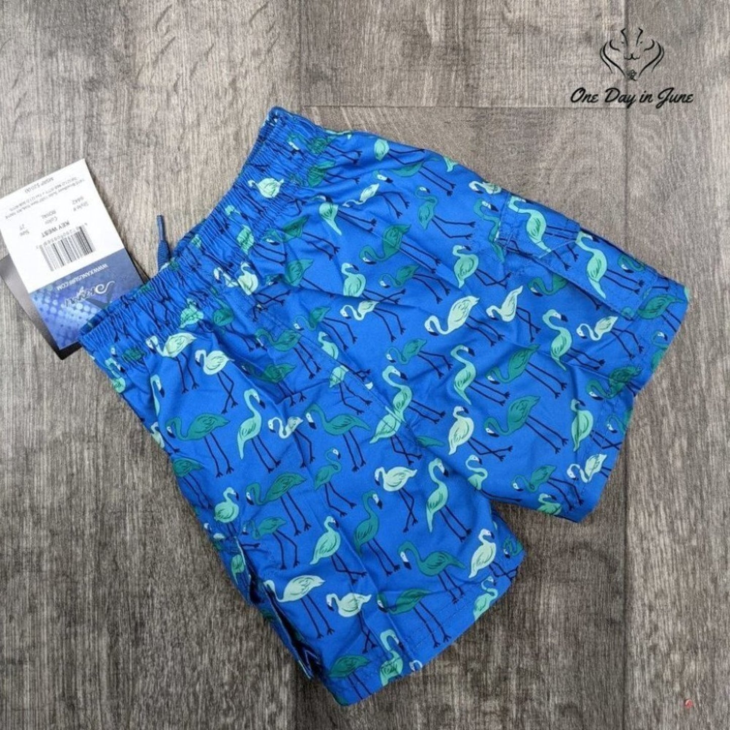 Kanu Surf Line Up Quick Dry UPF 50+ Swim Trunks Size 2T