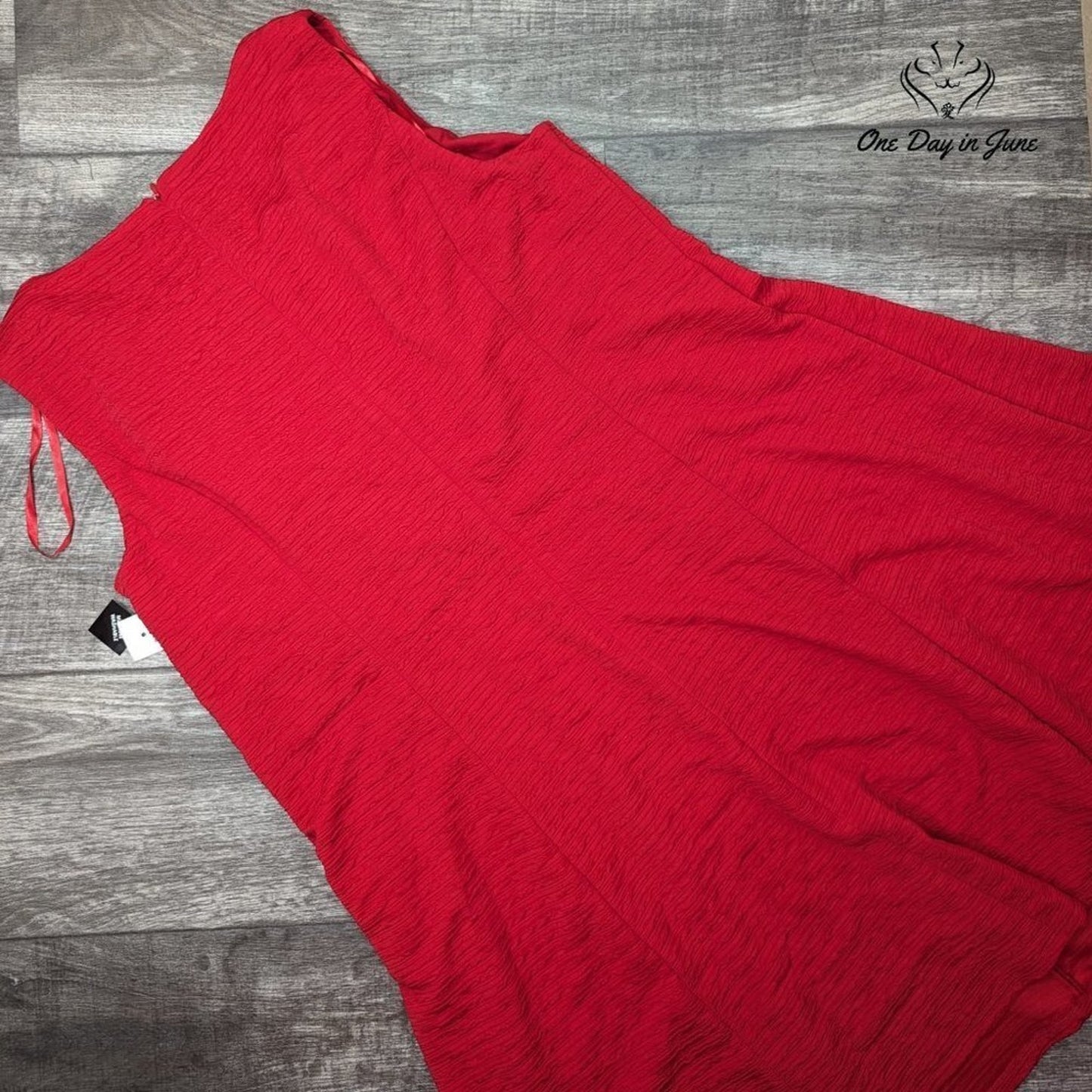 Sandra Darren Plus Size Beaded Collar Sleeveless Dress Size 14W