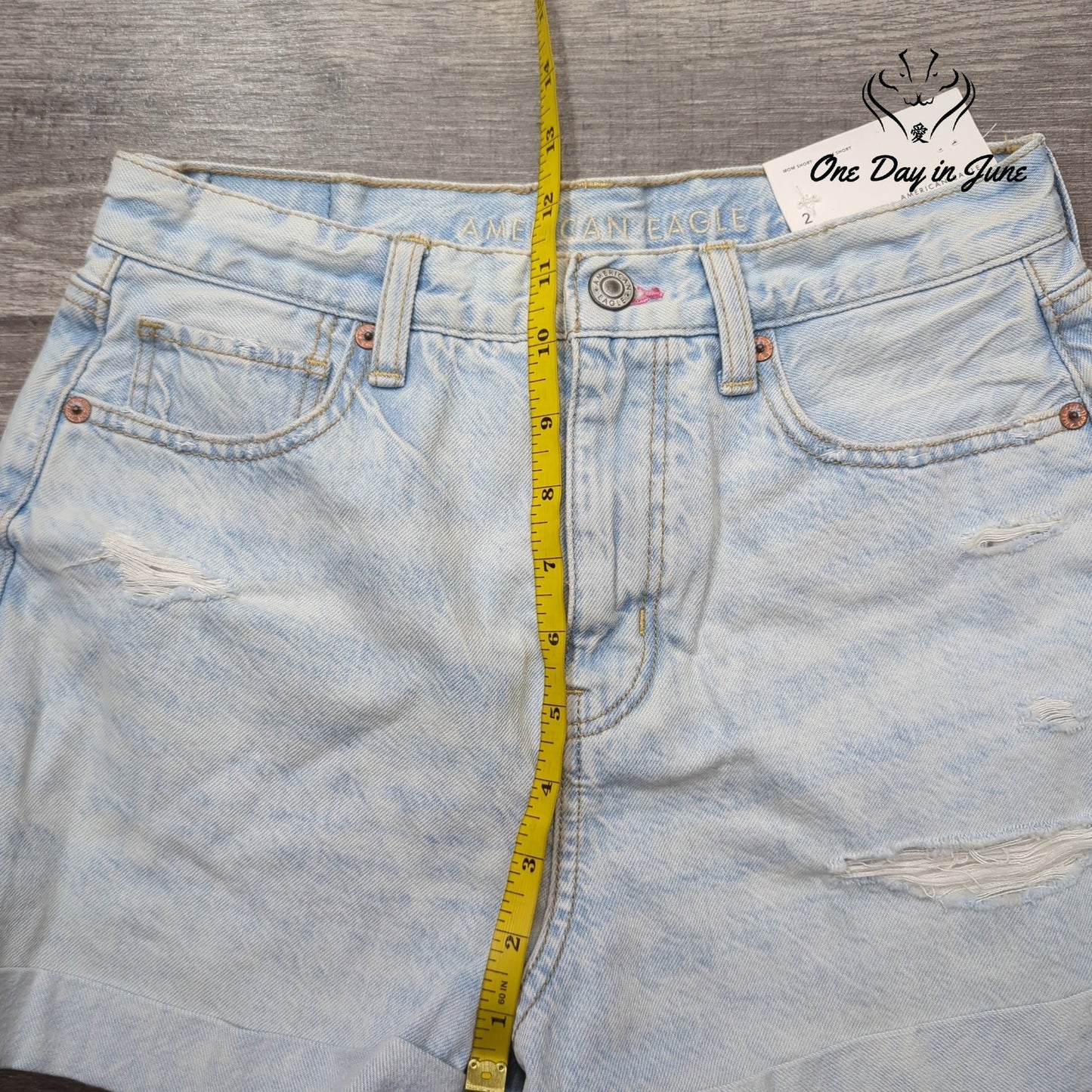 American Eagle Outfitters Mom Shorts Denim Shorts Size 2
