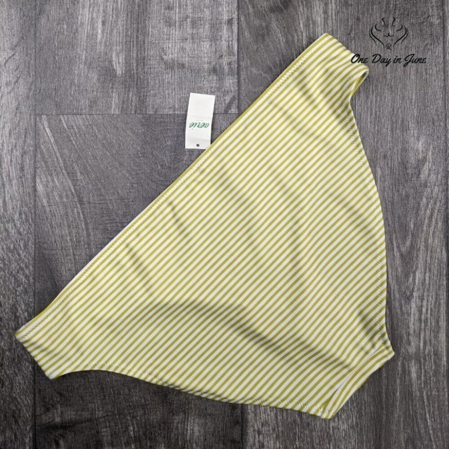 American Eagle Outfitters Aerie Bikini Bottom Size L