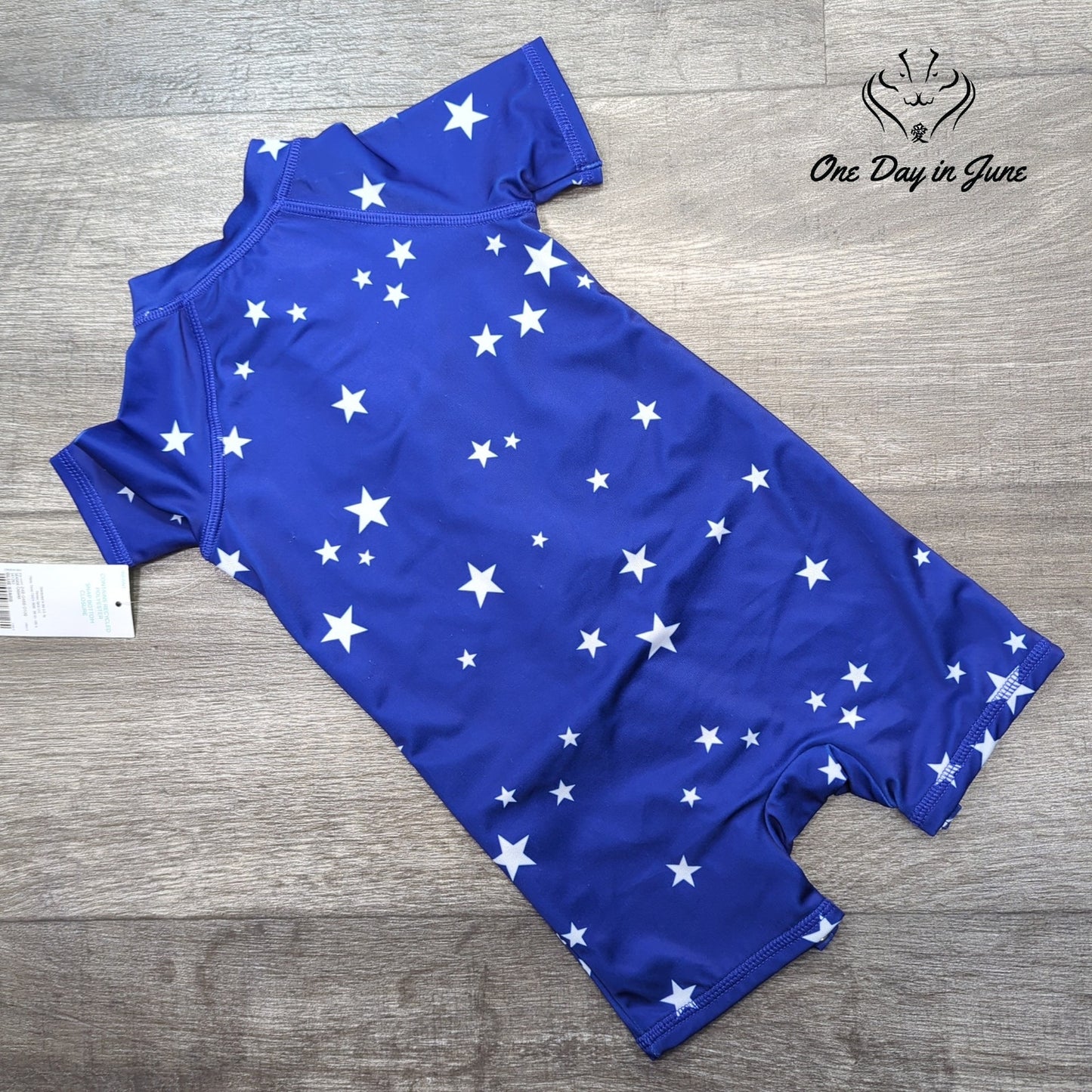 Outdoor Oasis One Piece Swimsuit Size 9-12M