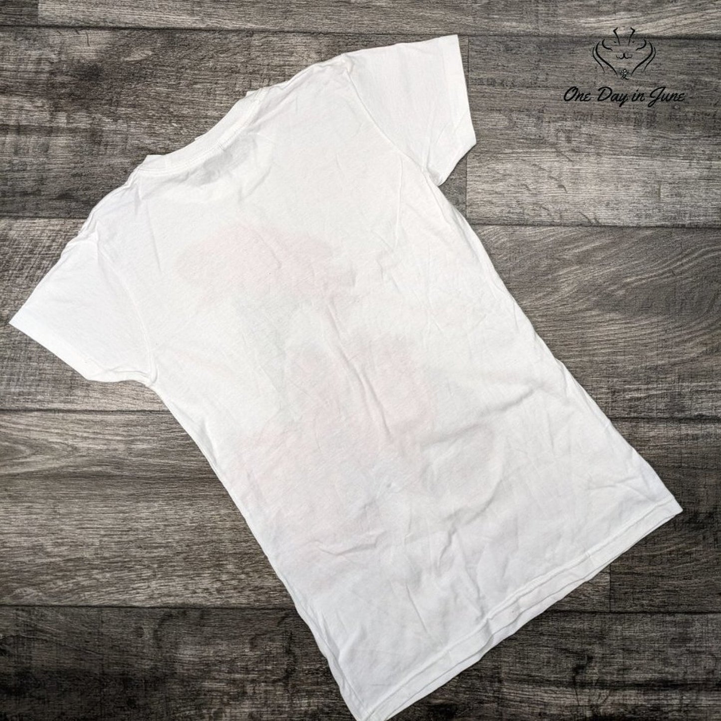 Tultex John Legend Love In The Future T Shirt Size S