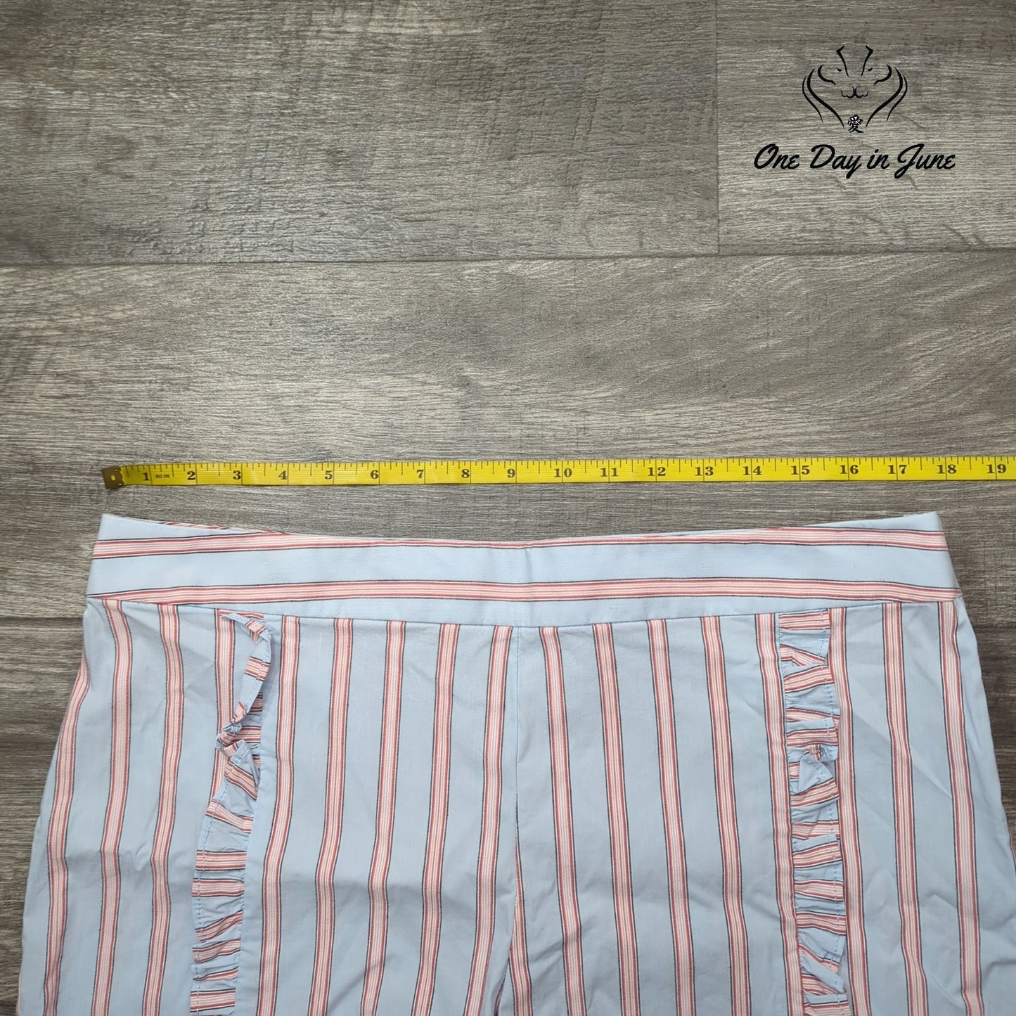Loft Ruffle Front Shorts Size 10