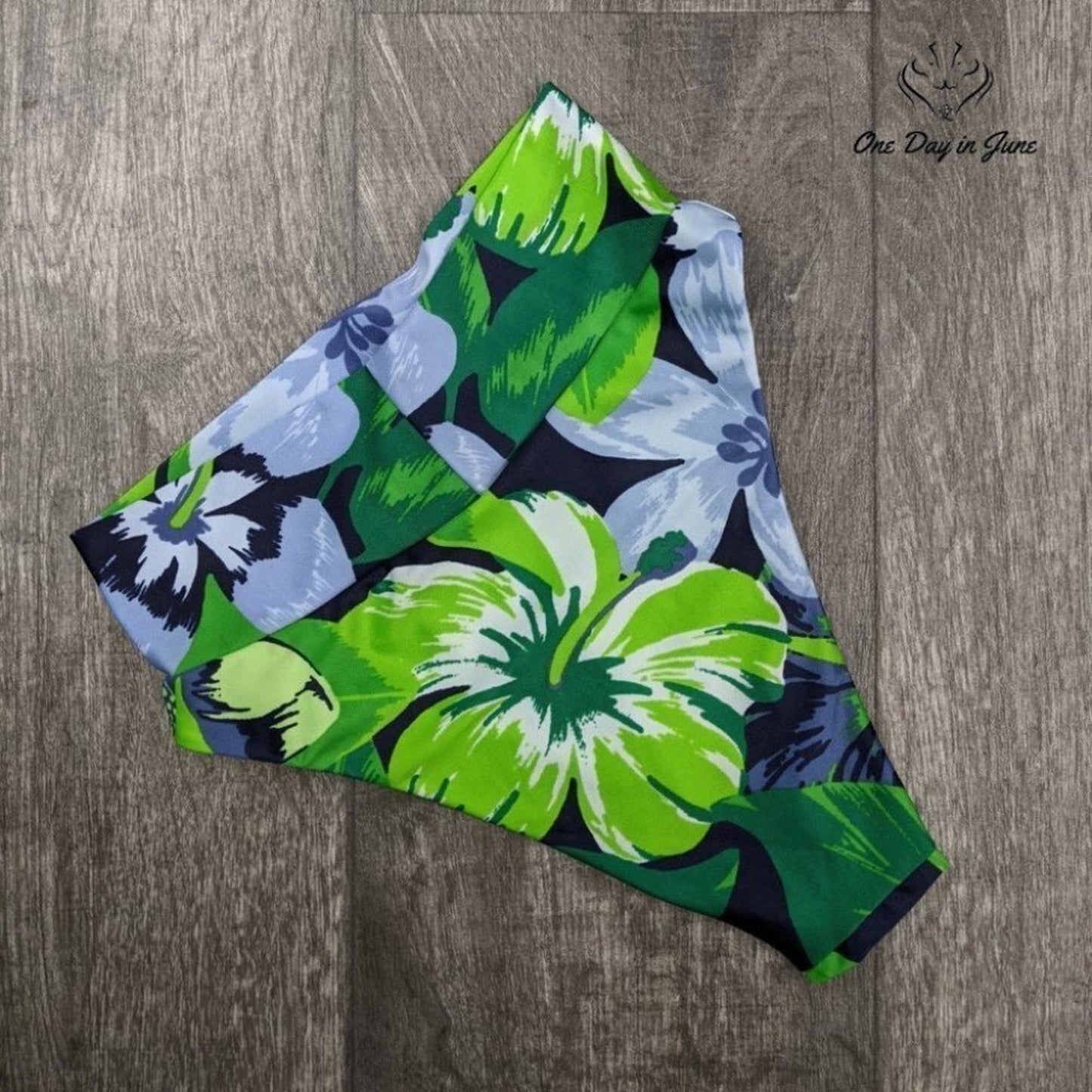 American Eagle Outfitters Aerie High Cut Cheeky Bikini Bottom Size XS