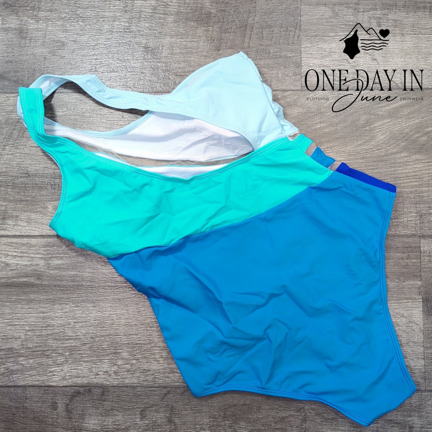 CharmLeaks One Shoulder Mesh Cutout One Piece Swimsuit Size S