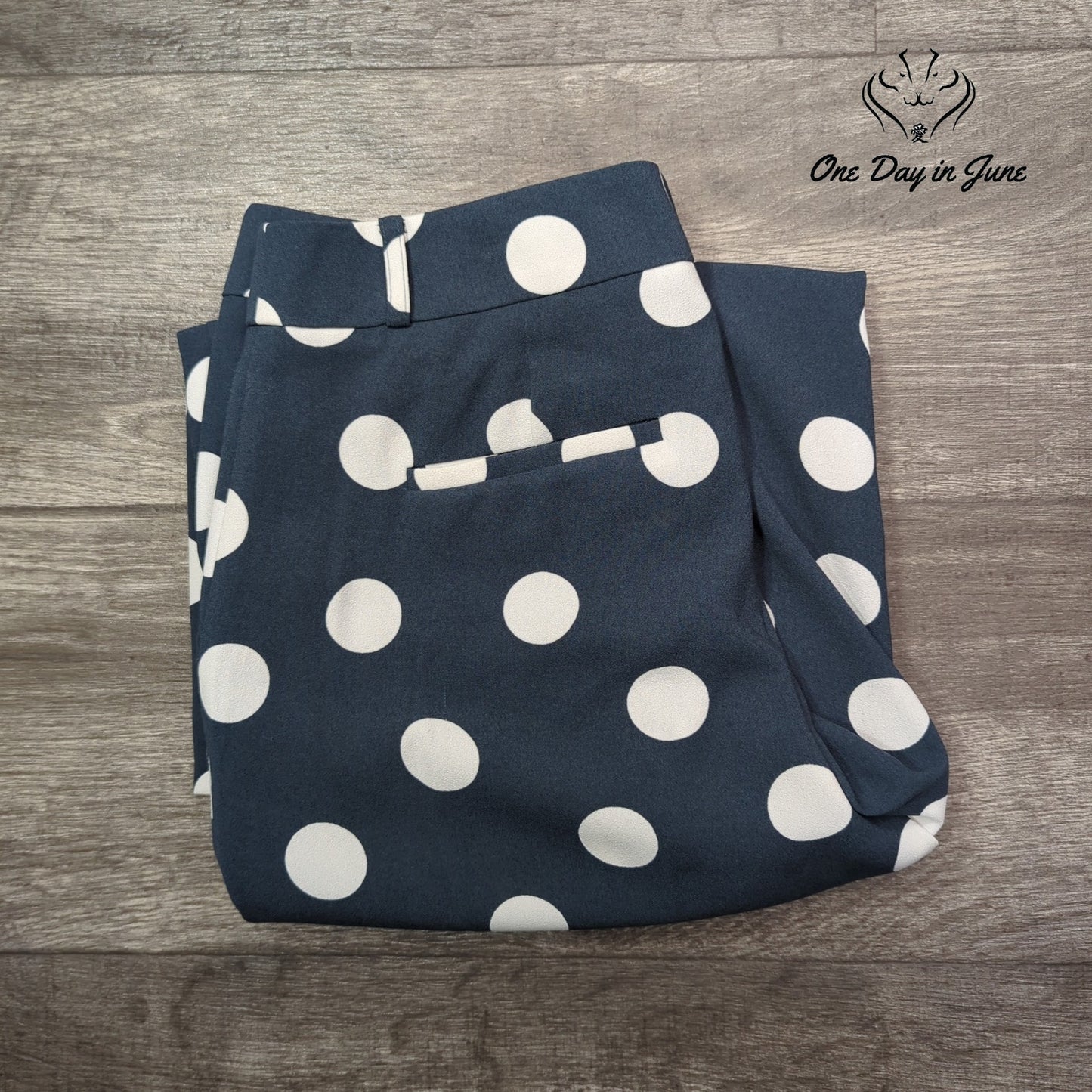 Loft Petite Marisa Skinny Crop Pants Navy White Polka Dot Size 4P