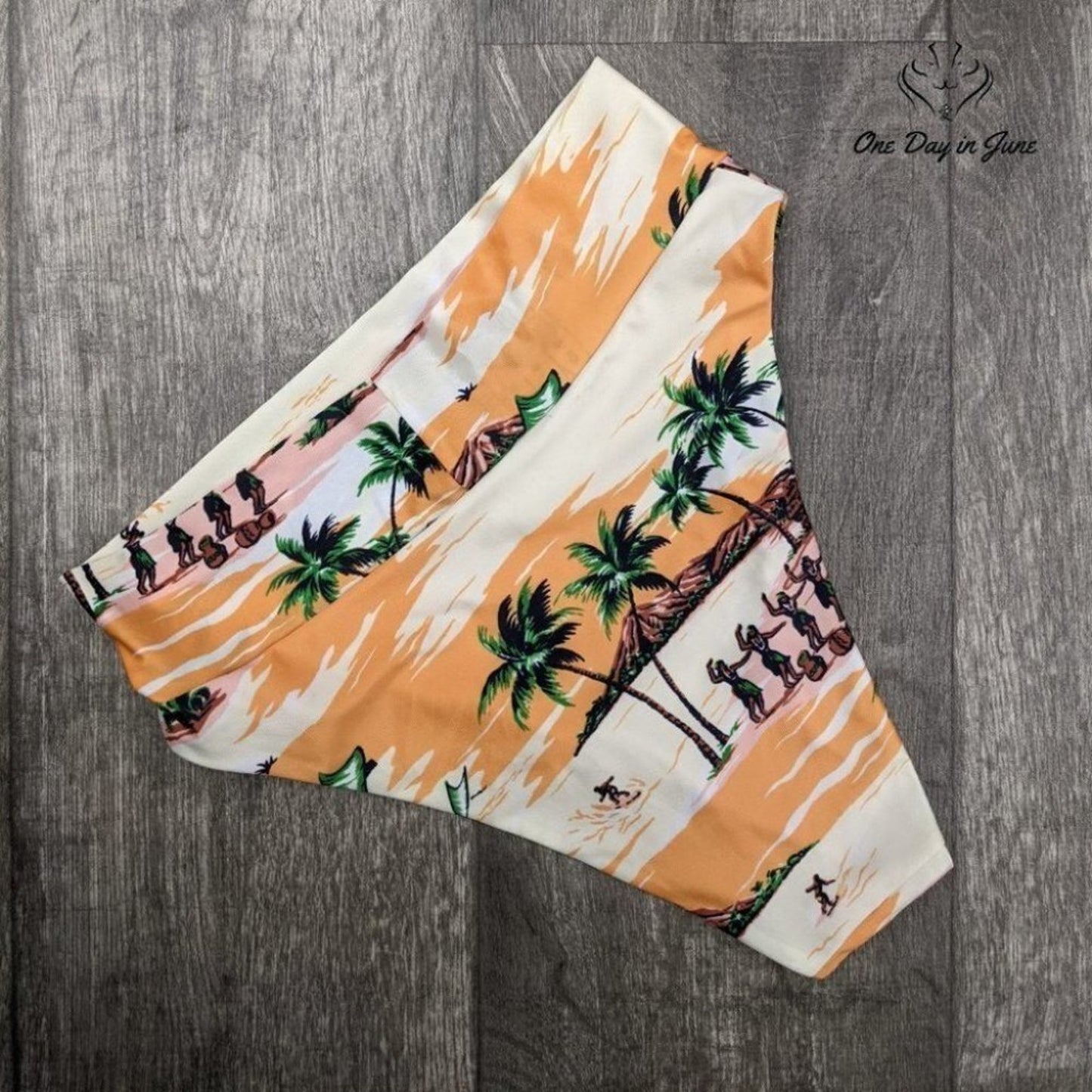 American Eagle Outfitters Aerie High Cut Cheeky Bikini Bottom Size S
