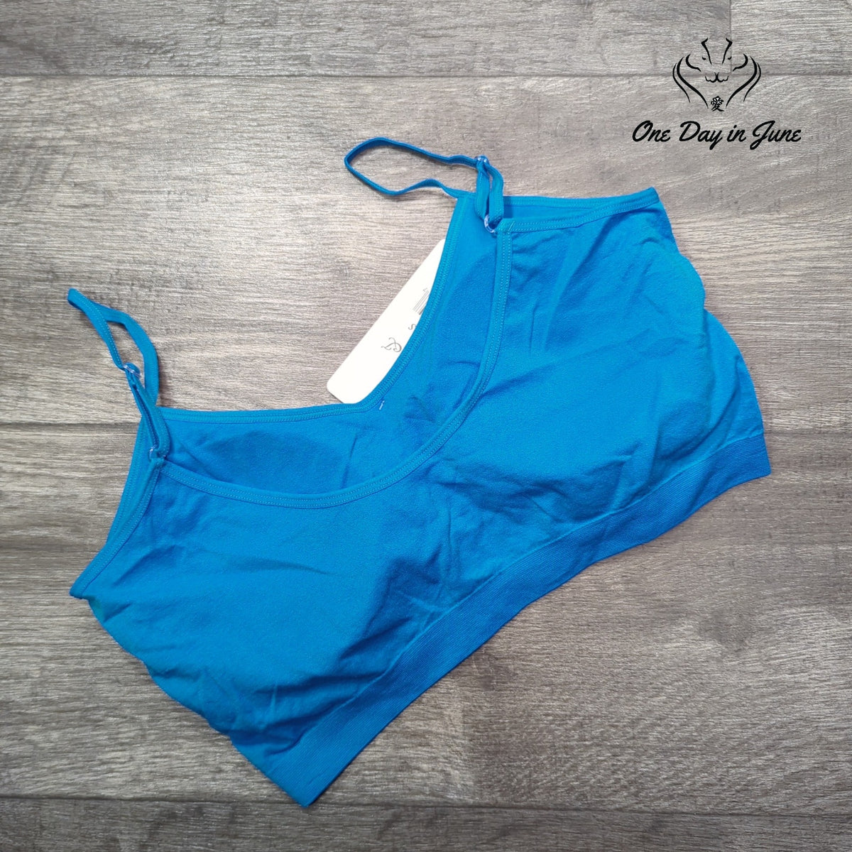 Kali & Wins Seamless Tee Shirt Bra Blue Wireless NWT Size 2XL/3XL