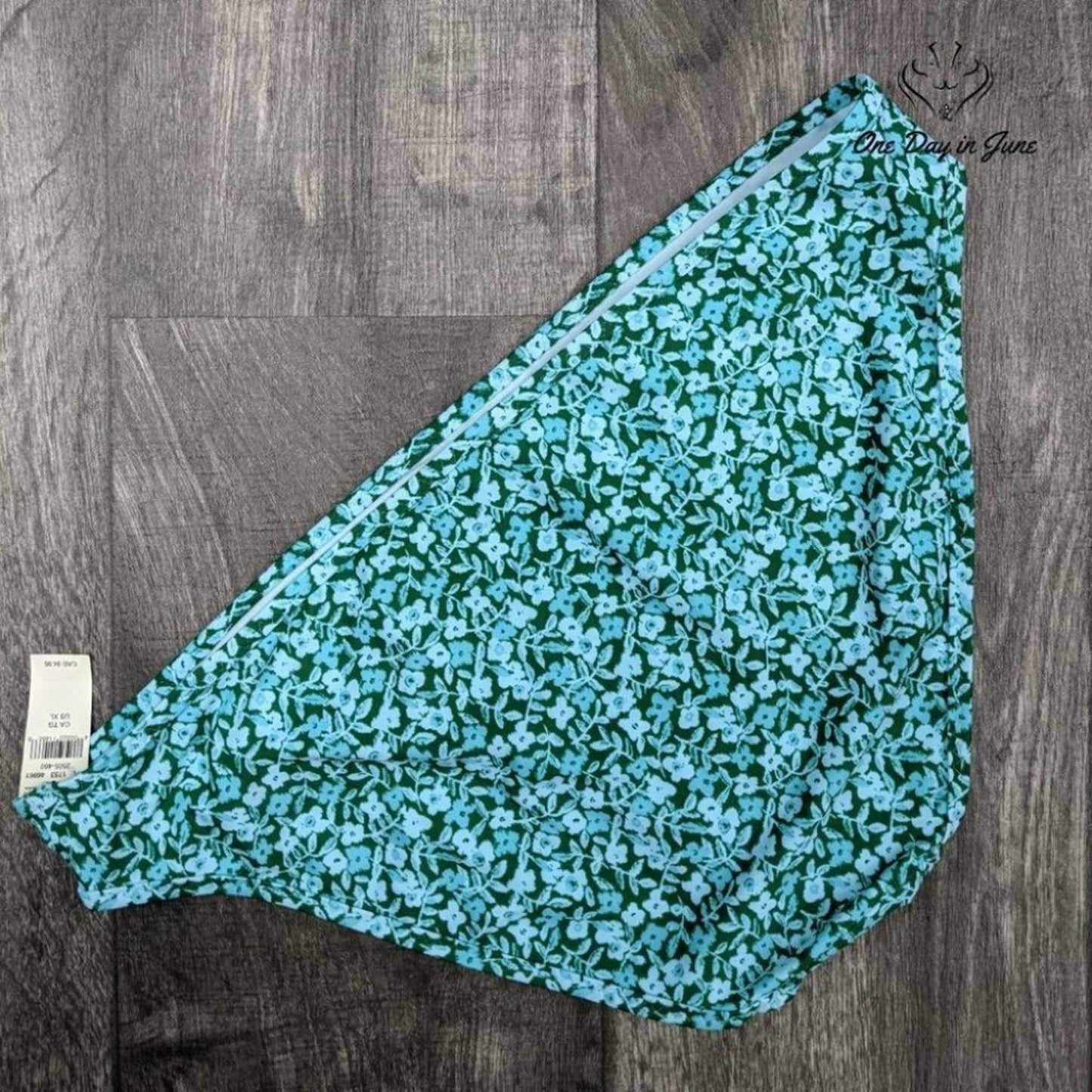 American Eagle Outfitters Aerie Bikini Bottom Size XL