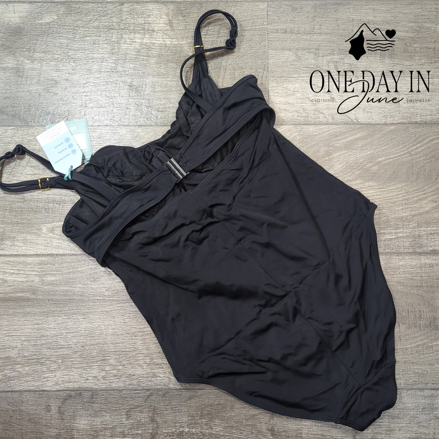 Panache Swim Underwire One Piece Swimsuit Size 36DD