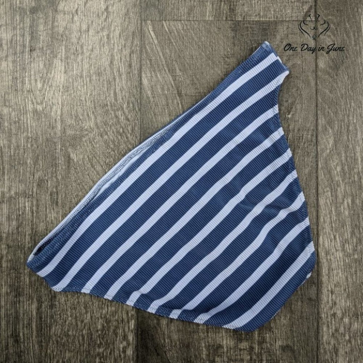 American Eagle Outfitters Aerie Ribbed Bikini Bottom Size M