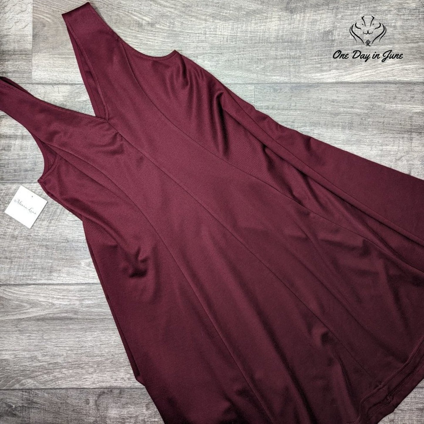 Meera Lane Sleeveless V Neck Dress Size 0X