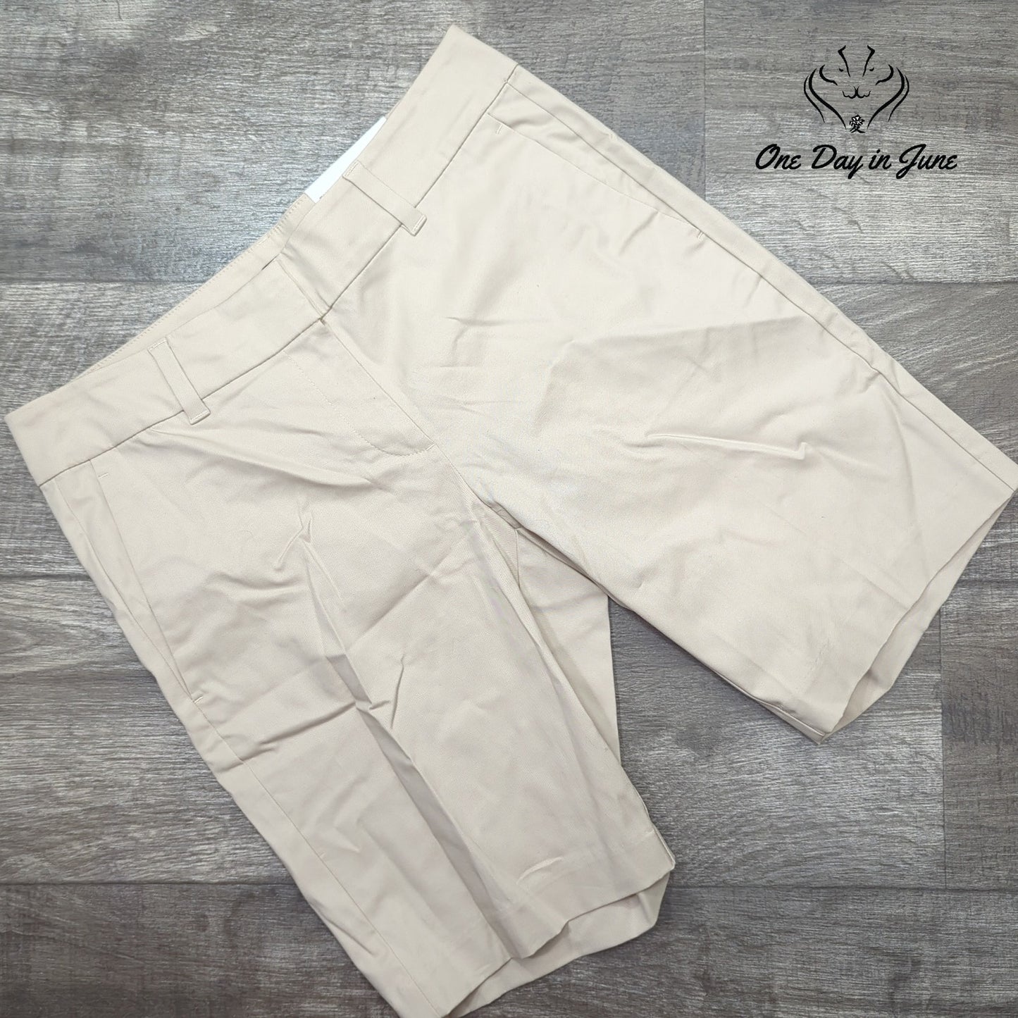 Ann Taylor The 10 Inch Short Size 6