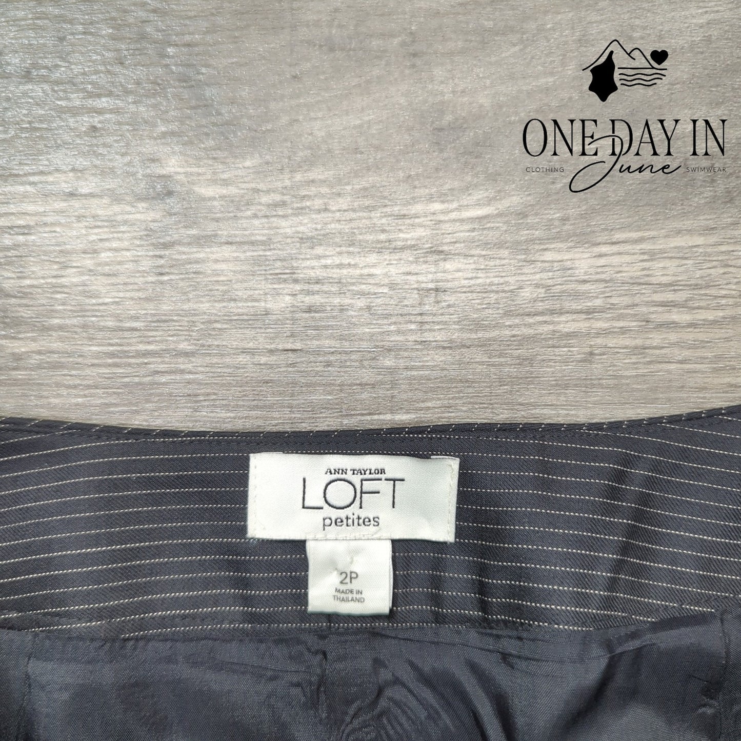 Loft Petite Pin Stripe Skirt Size 2P