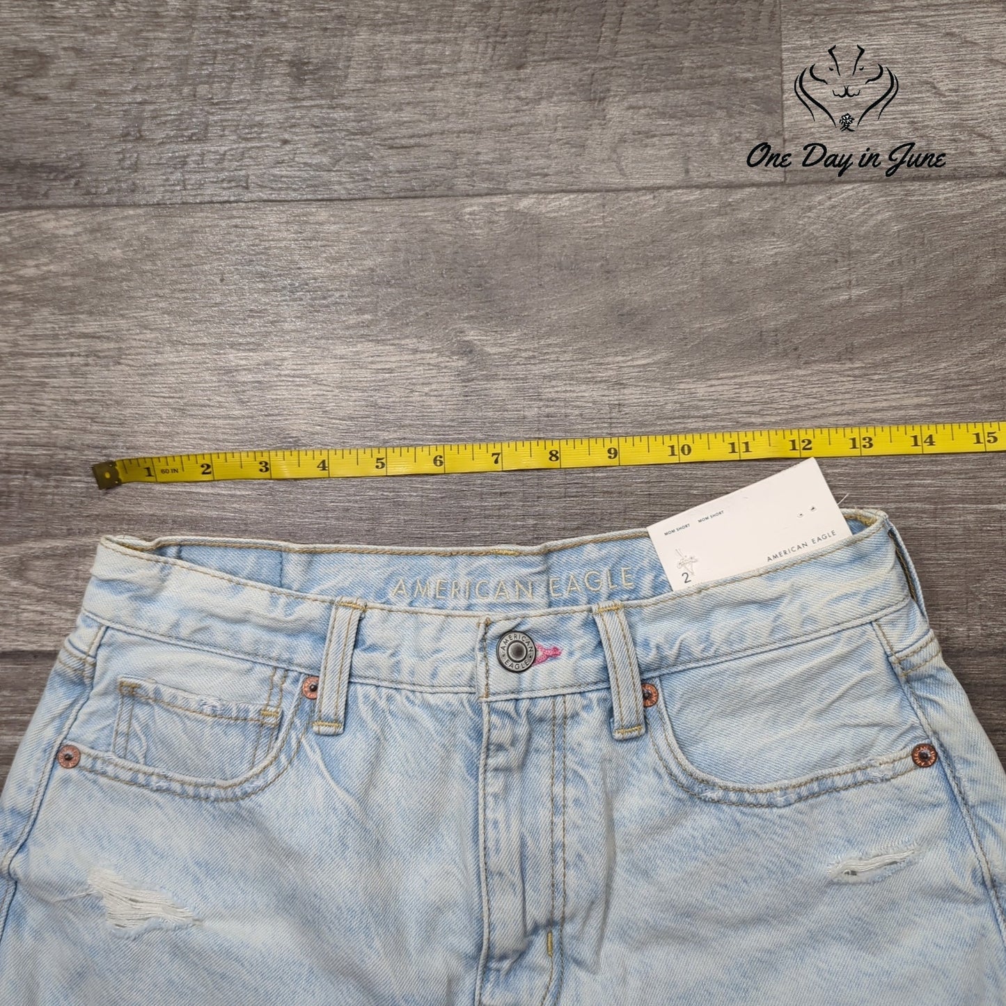 American Eagle Outfitters Mom Shorts Denim Shorts Size 2