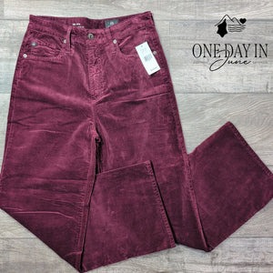 AG Adriano Goldschmied The Etta Velveteen Wide Leg Crop Pants NWT Size 4