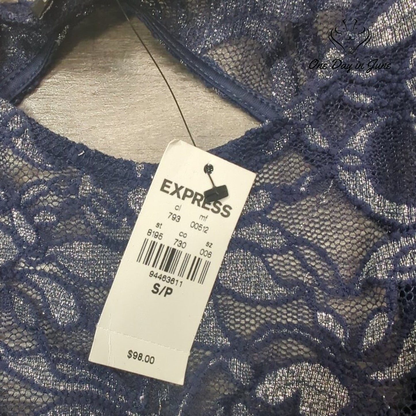 Express Long Sleeve Sheer Mini Dress Size S/P