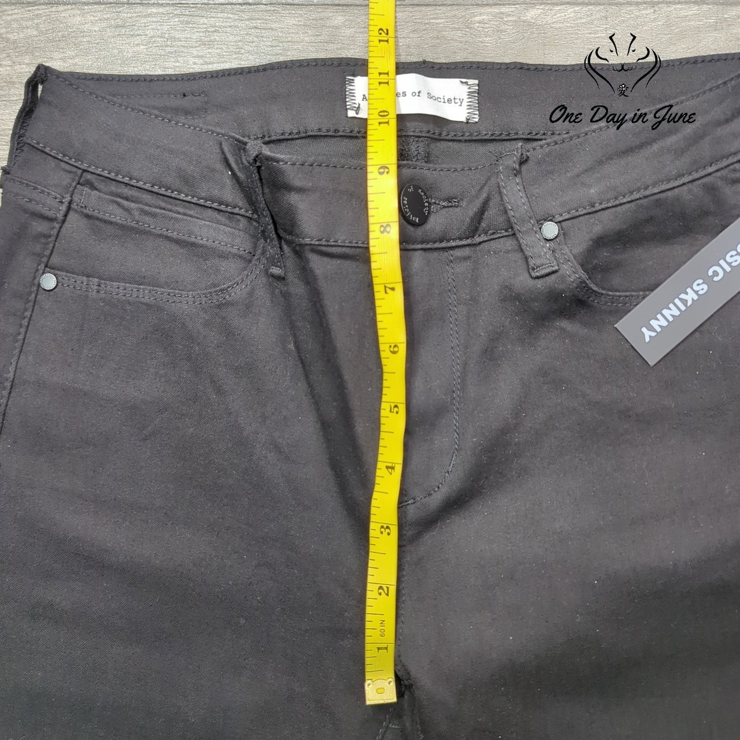 Articles of Society Lake Wash Skinny Jeans Size 27 (4)
