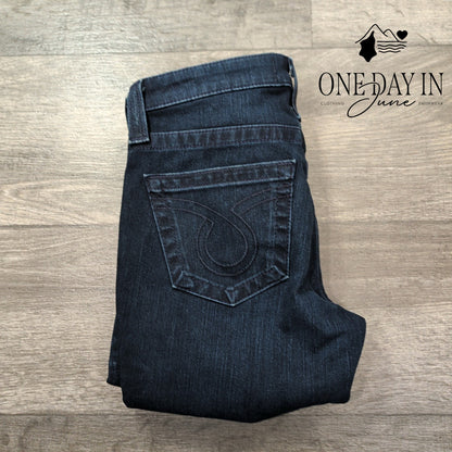 Big Star Alex Mid Rise Skinny Jeans Size 4 (27)