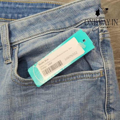 Studio Blue Plus Size Casey Mid Rise Distressed Skinny Jeans Size 24W