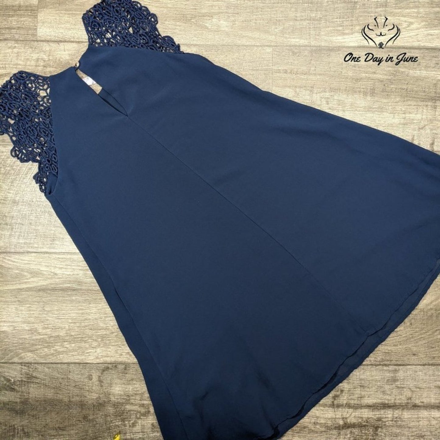 Alya Sleeveless Sheer Lined Mini Dress Size XS