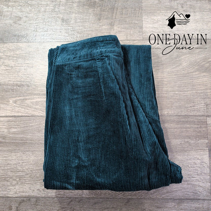 AG Adriano Goldschmied Wide Leg Corduroy Pants Dark Teal NWT Size 4 (27)
