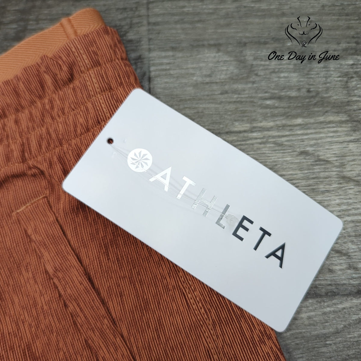 Athleta Echo Wide Crop Pants Tall Terracotta Textured Pull On NWT Size 10T