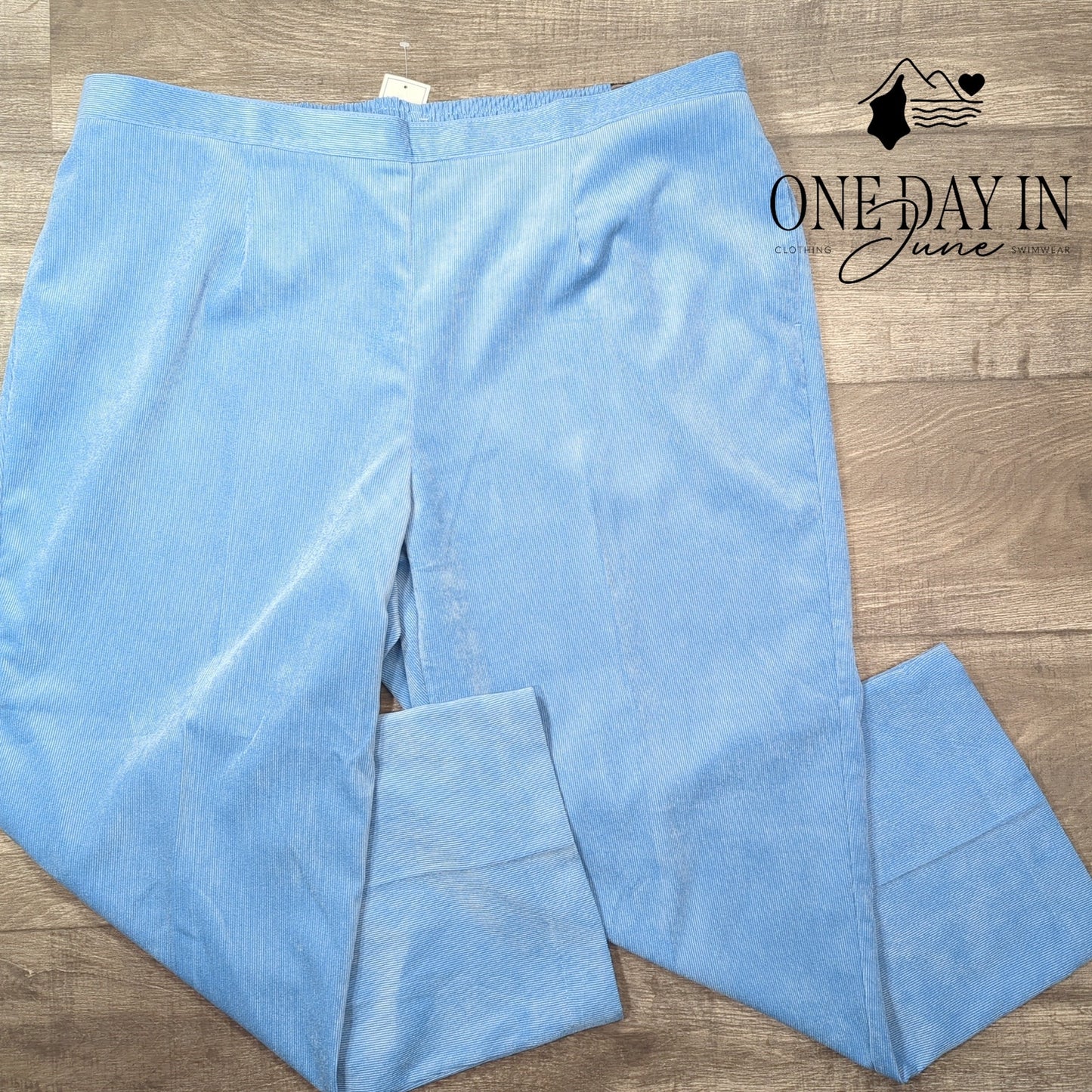 Alfred Dunner Plus Size Proportioned Short Pull On Corduroy Pants Size 24W