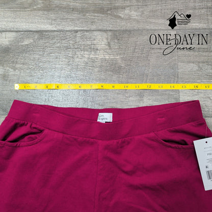 Kim Rogers Petite Pull On Casual Pants Size PM