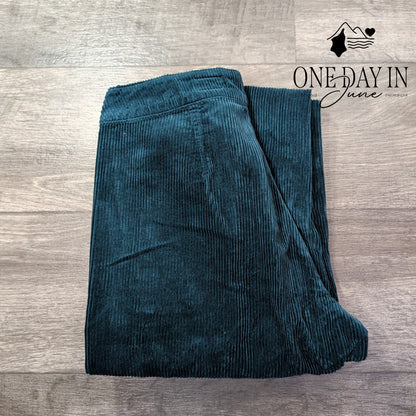 AG Adriano Goldschmied Wide Leg Corduroy Pants Dark Teal NWT Size 4 (27)