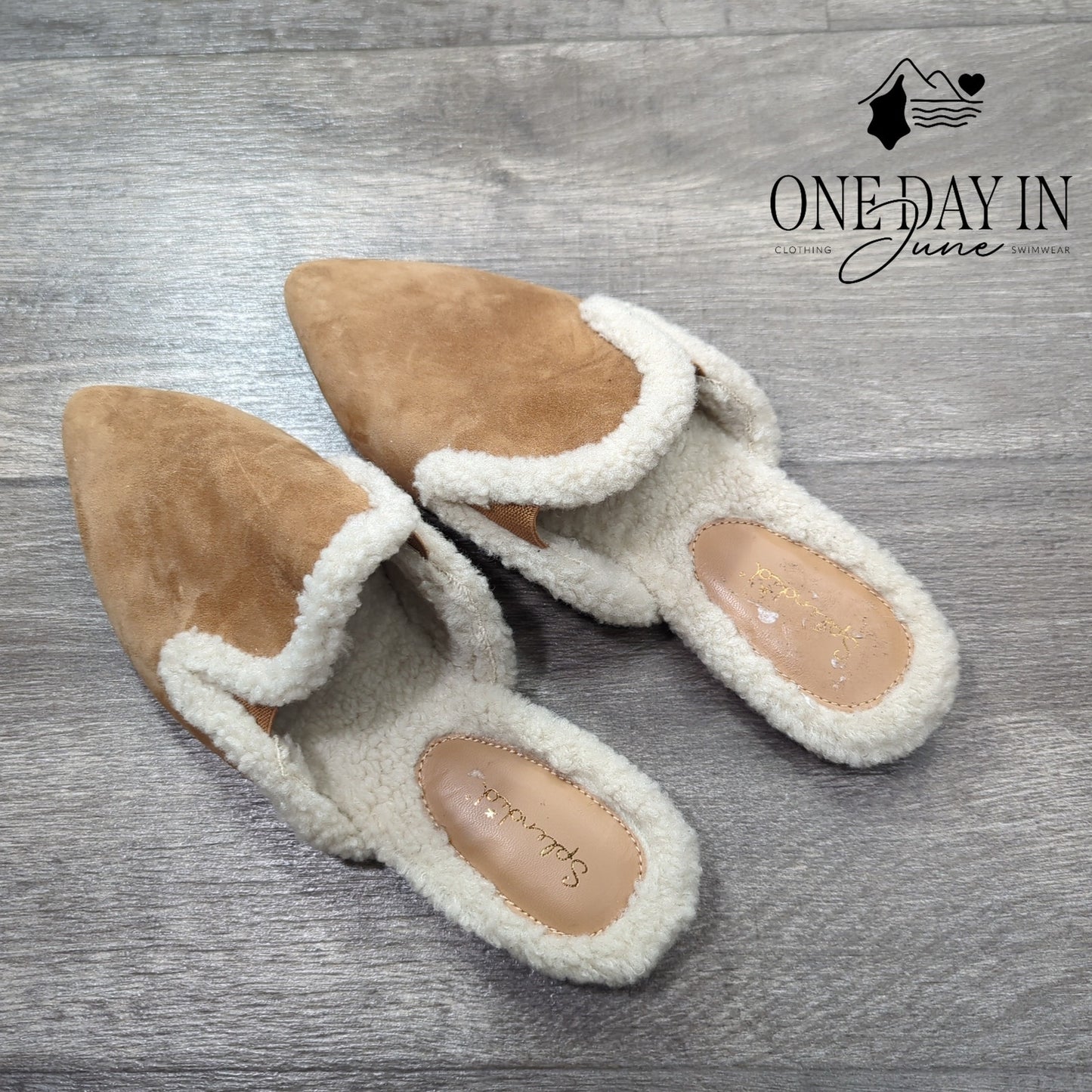 Splendid Liza Pointed Toe Mules Size 9.5