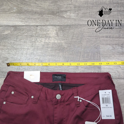 Celebrity Pink Juniors Jayden Skinny Jeans Size 5