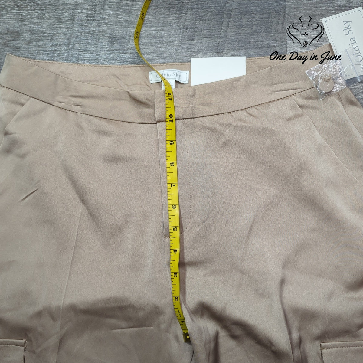 Olivia Sky Madrid Satin Cargo Pants Tan Praline Straight Leg NWT Size 10