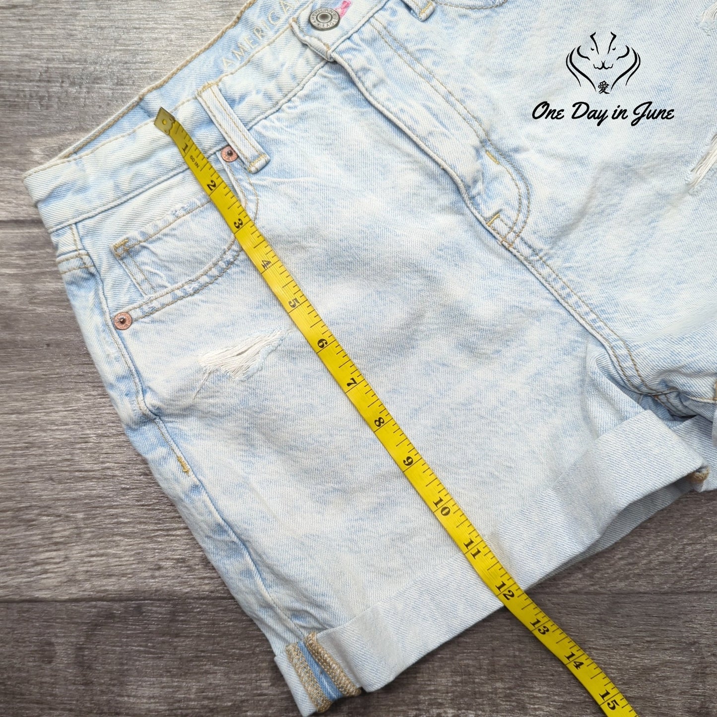 American Eagle Outfitters Mom Shorts Denim Shorts Size 2