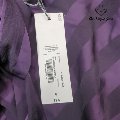 Liz Claiborne Long Sleeve Mysterious Purple Dress Size 6