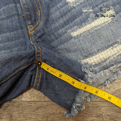 Rewash Girlfriend Denim Shorts Size 2