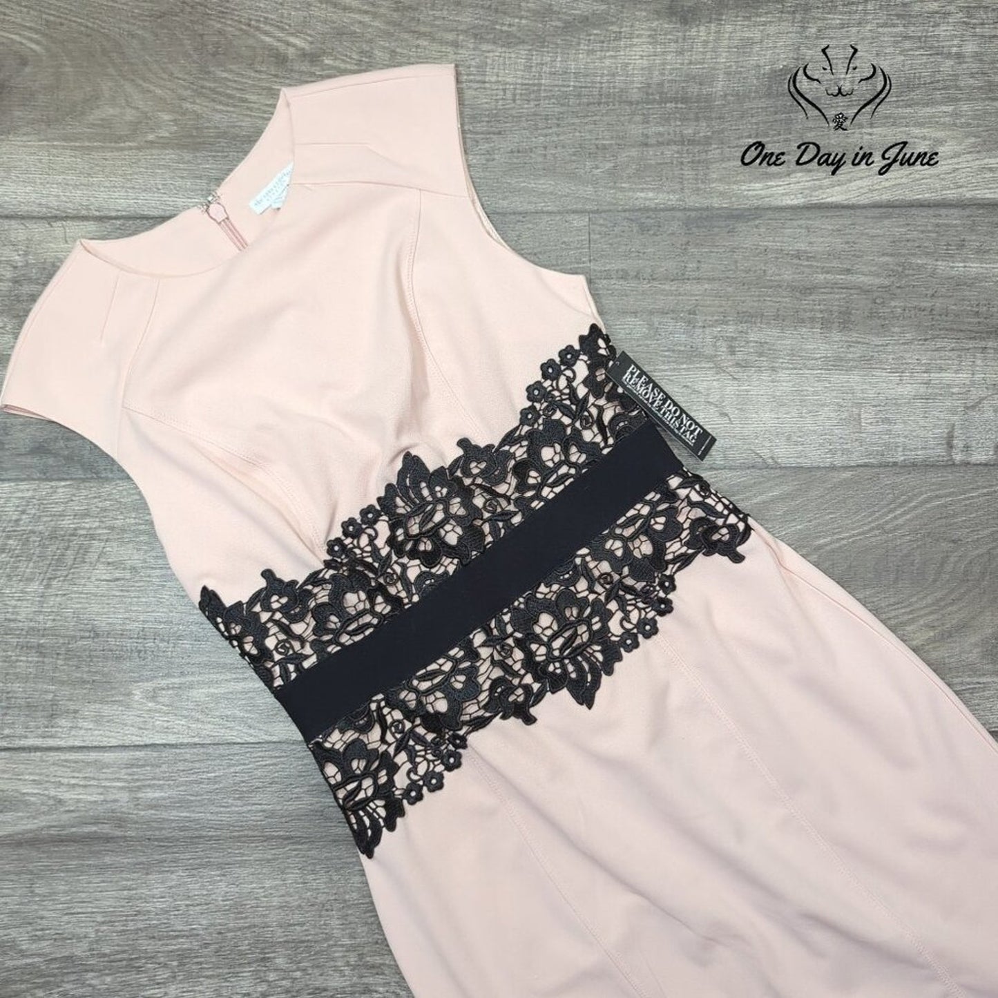 New York & Company Sheath Dress Pink Black Lace Colorblock NWT $79.95 Size S