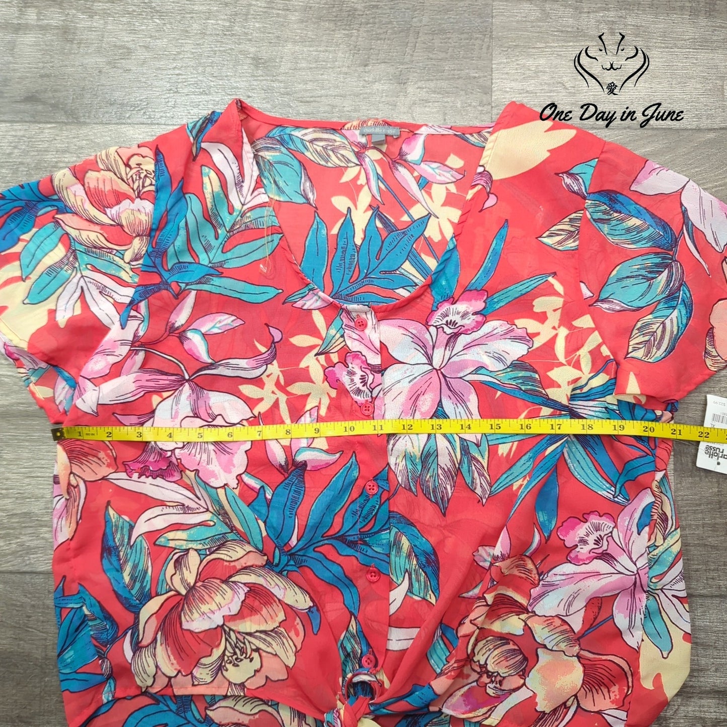 Charlotte Russe Short Sleeve Sheer Top Size XL