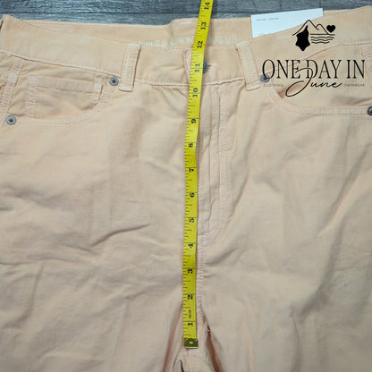 American Eagle Outfitters Mom Jean Corduroy Pants Size 10