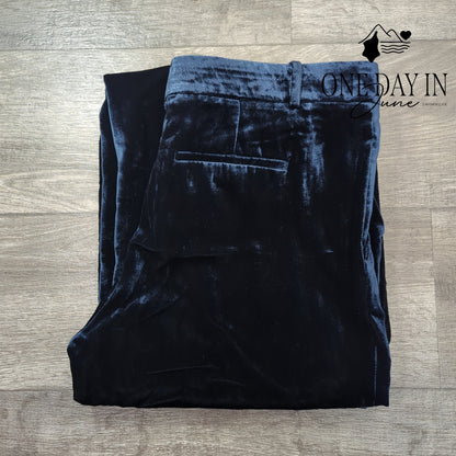 Ann Taylor Velveteen Wide Leg Pants Size 14