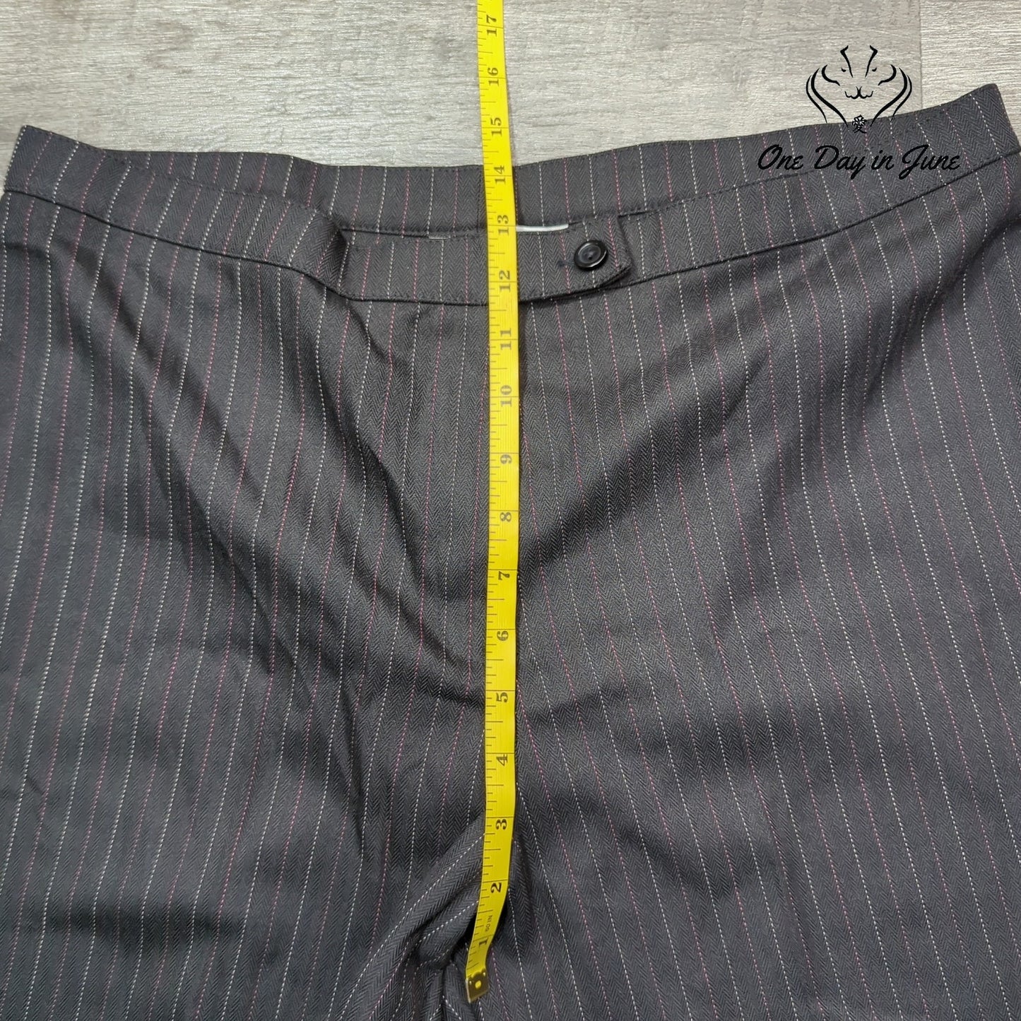 Kim Rogers Plus Size Signature Pin Striped Pants Size 16W