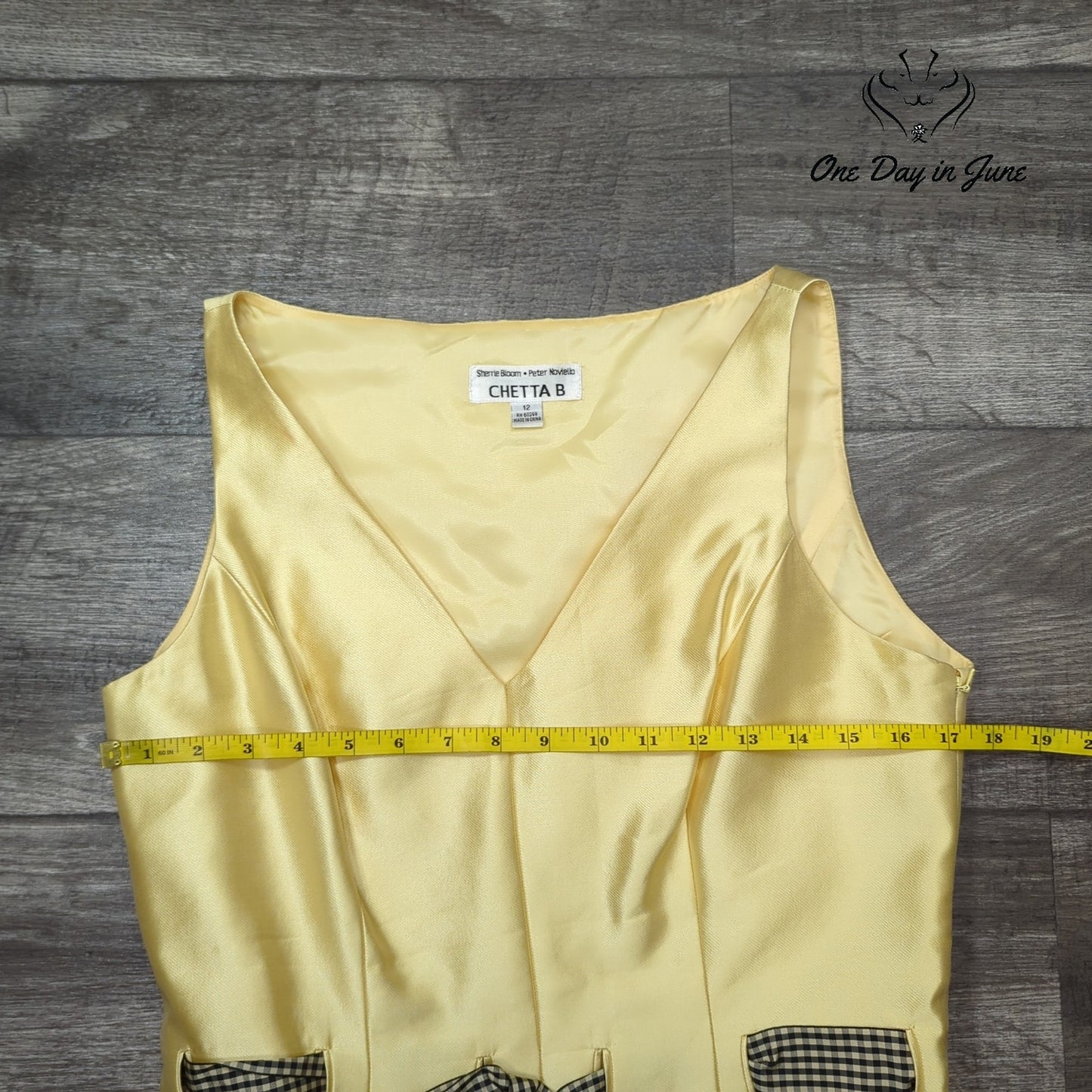 Chetta B A Line Silk Dress Size 12