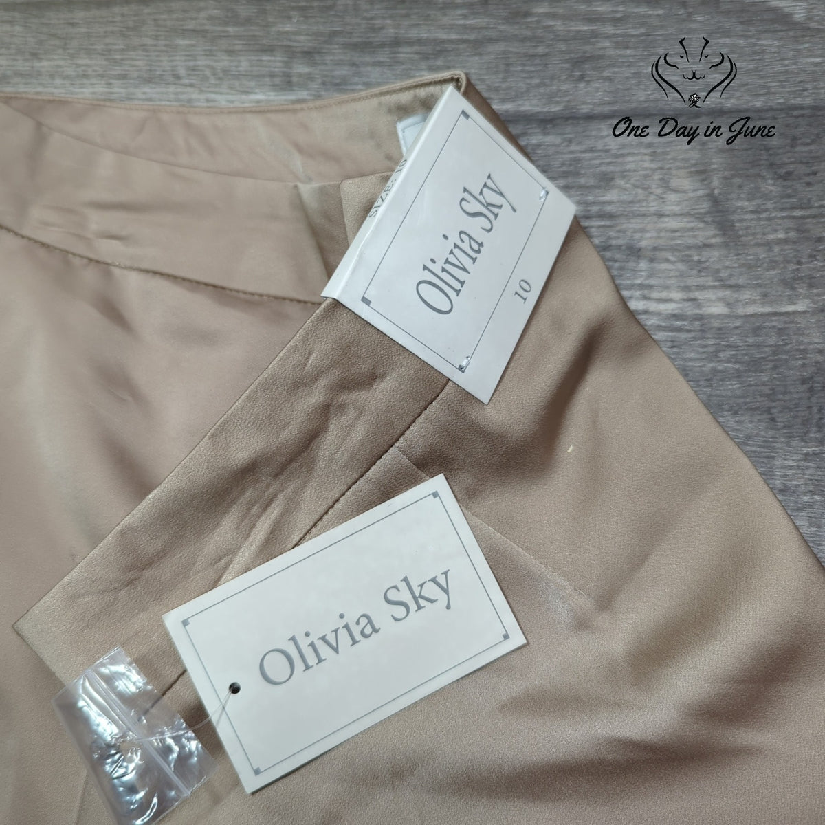Olivia Sky Madrid Satin Cargo Pants Tan Praline Straight Leg NWT Size 10