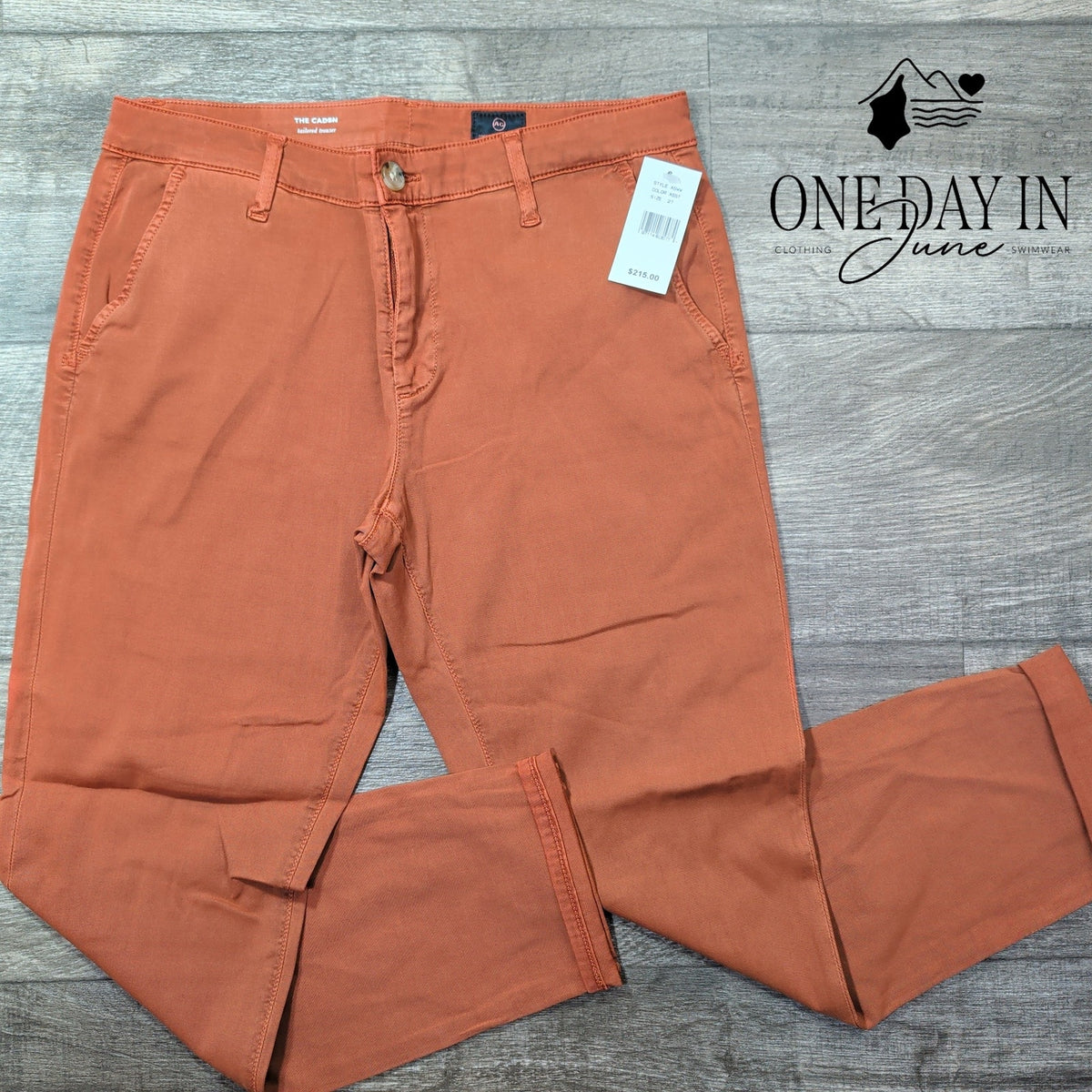 AG Adriano Goldschmied The Caden Tailored Trouser Pants Rust Orange NWT Size 4